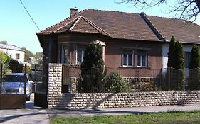 Haus in Budapest mit Garten